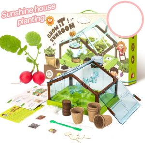 Mini Planting Bar Sunshine Room Toy