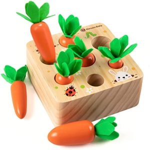 Montessori Toys for 1 YearOld Baby Pull Carrot Set Wooden Toy